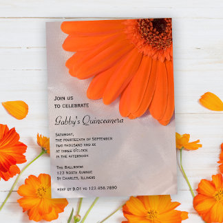 Naranja Daisy sobre la invitación del partido Sati