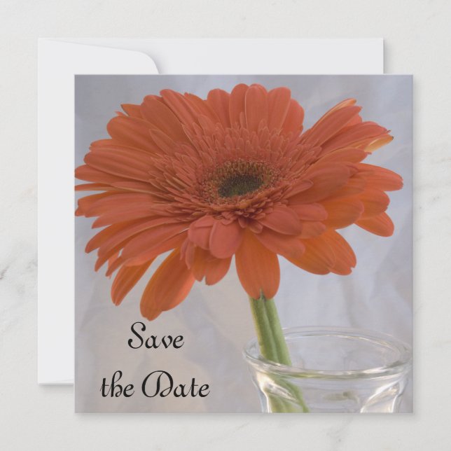 Naranja Daisy Wedding Guardar la Invitación de fec (Anverso)