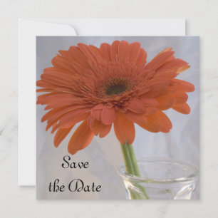 Naranja Daisy Wedding Guardar la Invitación de fec