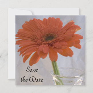 Naranja Daisy Wedding Guardar la Invitación de fec