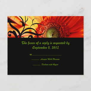 Naranja Daisy Wedding RSVP
