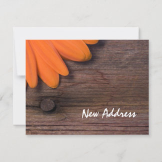 Naranja Daisy y Rustic Barn Wood nueva tarjeta de 