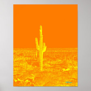 Naranja de arte fotográfico Cactus Diversión del d