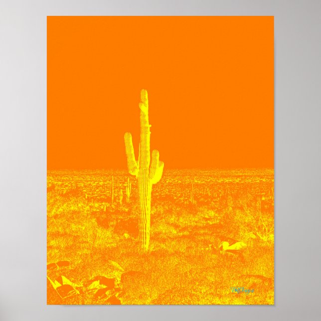 Naranja de arte fotográfico Cactus Diversión del d (Frente)
