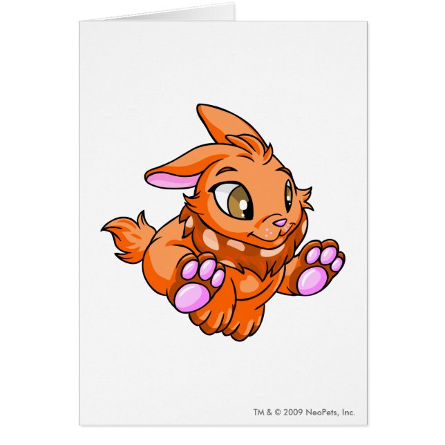Naranja de Cybunny (Frente)