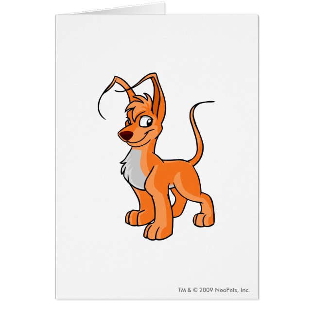 Naranja de Gelert (Frente)