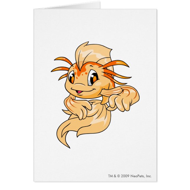 Naranja de Koi (Frente)