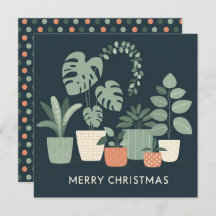 Naranja de Navidad Plantas Potadas Verdes