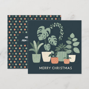 Naranja de Navidad Plantas Potadas Verdes