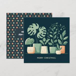Naranja de Navidad Plantas Potadas Verdes