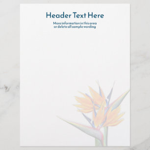 Naranja de pájaro del papel de escritura en blanco