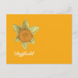 Naranja de tarjeta postal horizontal Daffodil