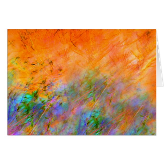 Naranja Dreamscape (Anverso (Horizontal))