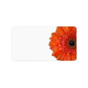 Naranja Gerbera Daisy Boda Etiquetas en blanco