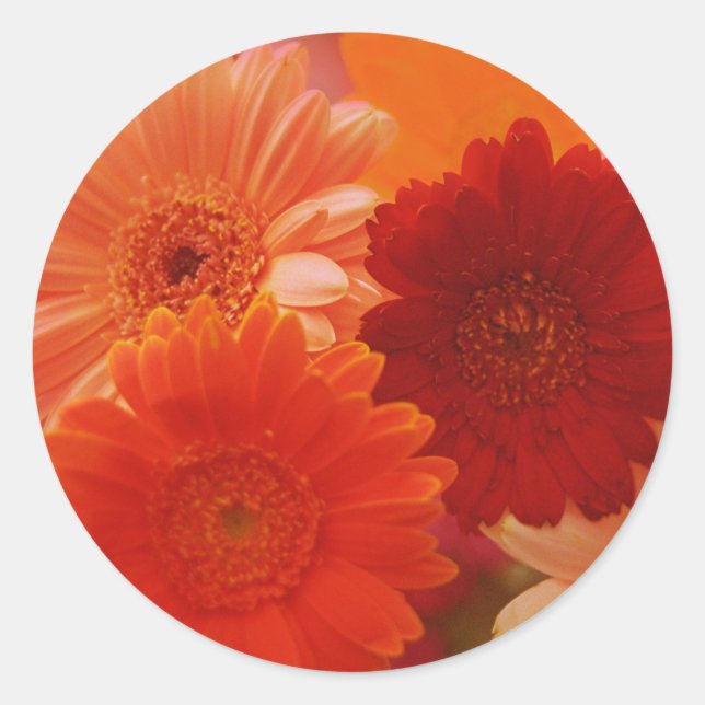 Naranja Gerbera Daisy Flores Pegatinas Art Decó (Anverso)