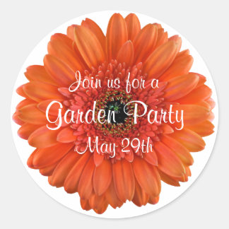 Naranja Gerbera Daisy Garden Fiesta Sello para sob