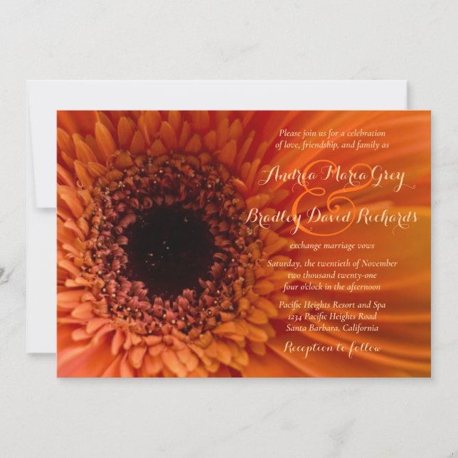 Naranja Gerbera Daisy Macro Wedding Invitación (Anverso)