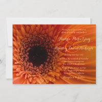 Naranja Gerbera Daisy Macro Wedding Invitación