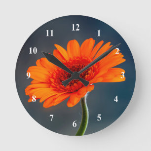 Naranja Gerbera Reloj de pared acrílico
