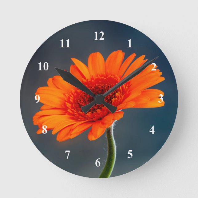 Naranja Gerbera Reloj de pared acrílico (Anverso)