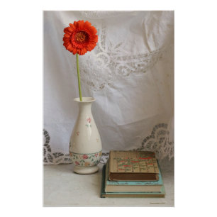 Naranja gerbera y poster de libros