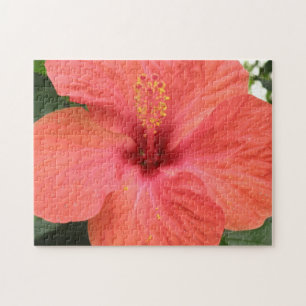 Naranja Hibiscus Flower Macro Puzzle