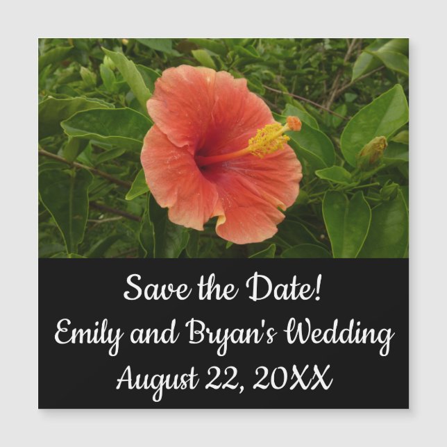 Naranja Hibiscus Flower Tropical Floral (Anverso)