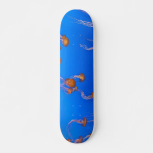Naranja Jellyfish Skateboard