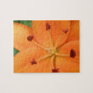 Naranja Lily Floral Puzzle