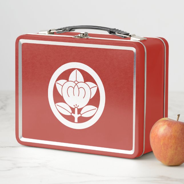Naranja mandarín en círculo Cajas de almuerzo (In situ)