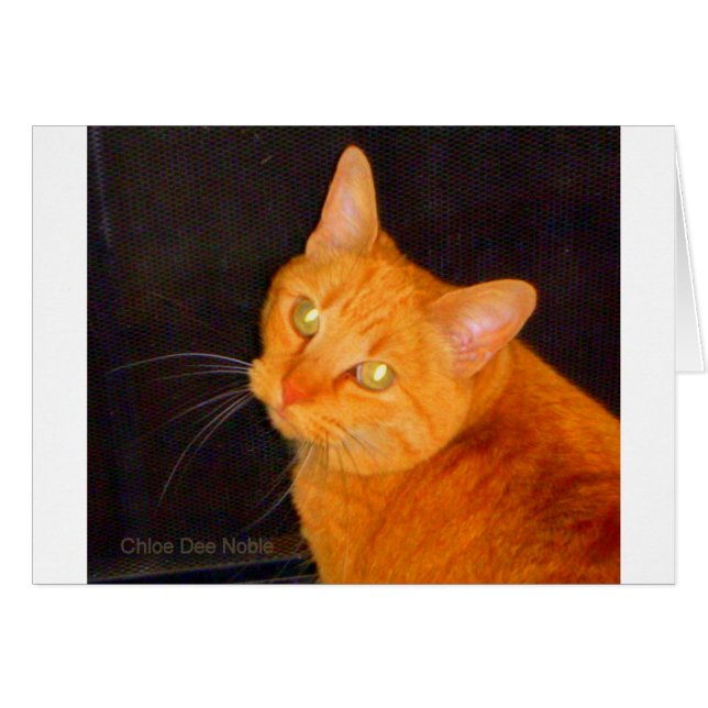 Naranja marmalade (Anverso (Horizontal))