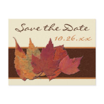 Naranja marrón marfil hojas secas guardar postal f