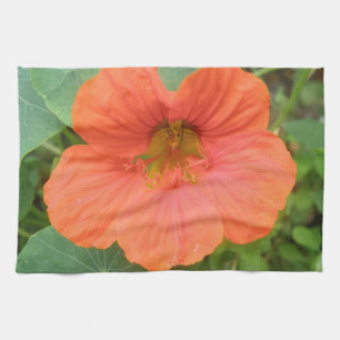 Naranja Nasturtium Flower Kitchen Toalla