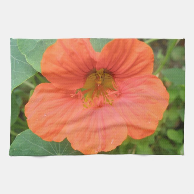 Naranja Nasturtium Flower Kitchen Toalla (Horizontal)