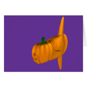 Naranja Ocean Sunfish