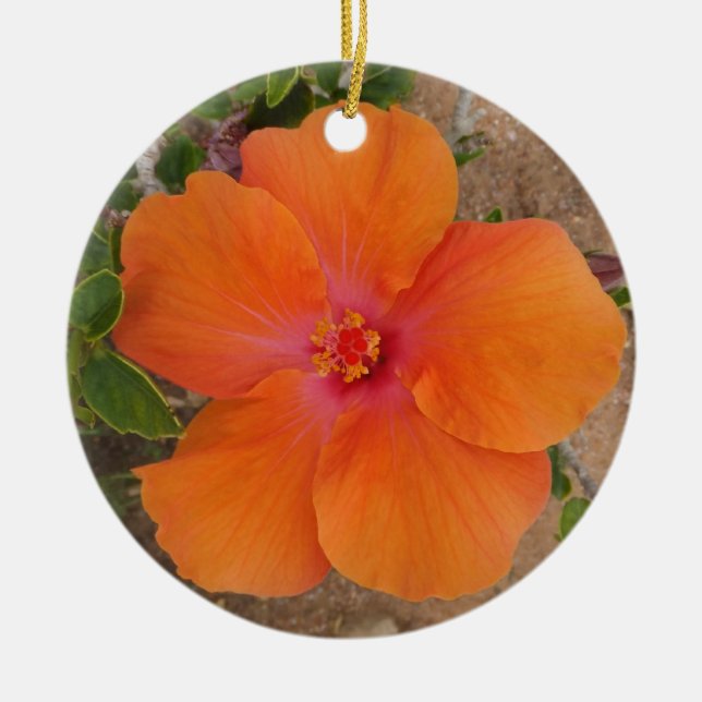 Naranja Ornamento de Hibiscus, personalizar (Frente)