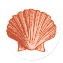 Naranja Peach Seashell Pegatinas
