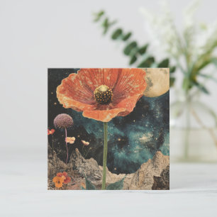 Naranja Poppy Bajo La Luz De La Luna