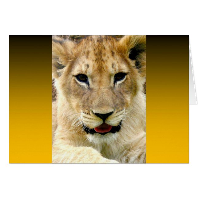 Naranja quemado con dos tonos (Anverso (Horizontal))