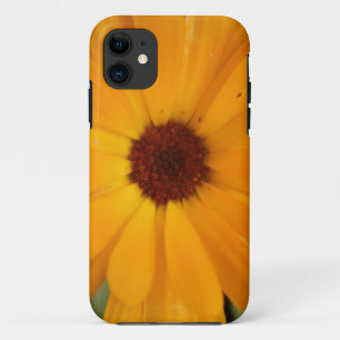 Naranja Rain Daisy iPhone 5 Funda