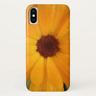 Naranja Rain Daisy iPhone 5 Funda