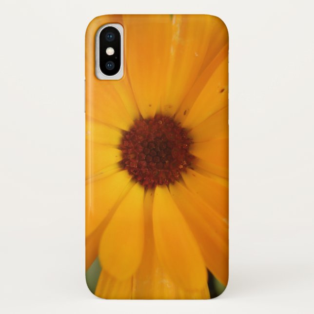 Naranja Rain Daisy iPhone 5 Funda (Reverso)
