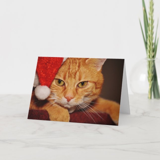Naranja Santa Kitty: Feliz Navidad al gato (Anverso)