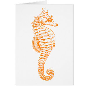 Naranja Seahorse