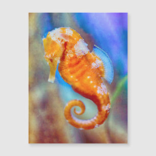 Naranja Seahorse deleite