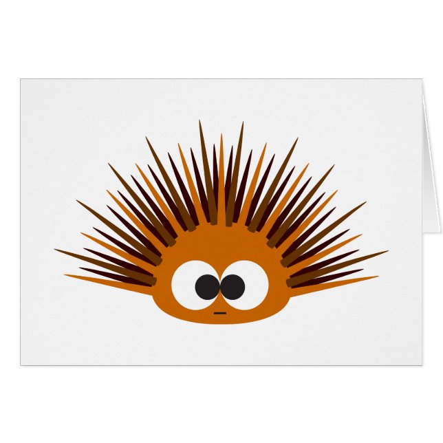 Naranja suave espinoso urchín marino (Anverso (Horizontal))
