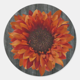 Naranja Sunflower & Barnwood Pegatina