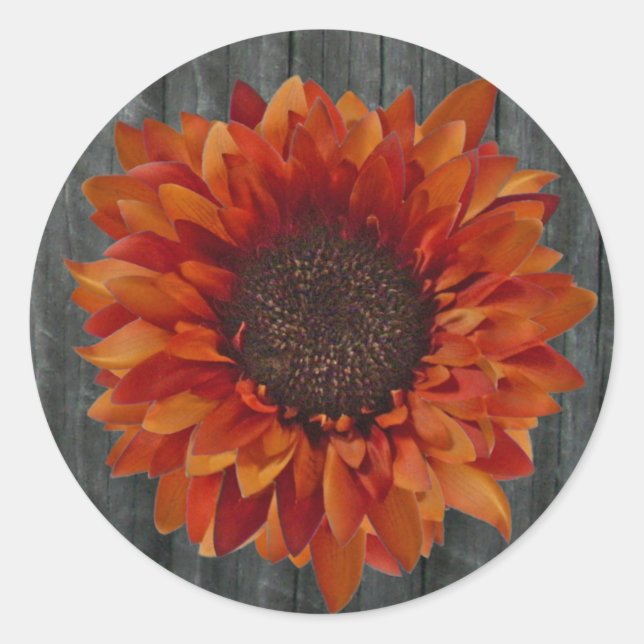 Naranja Sunflower & Barnwood Pegatina (Anverso)