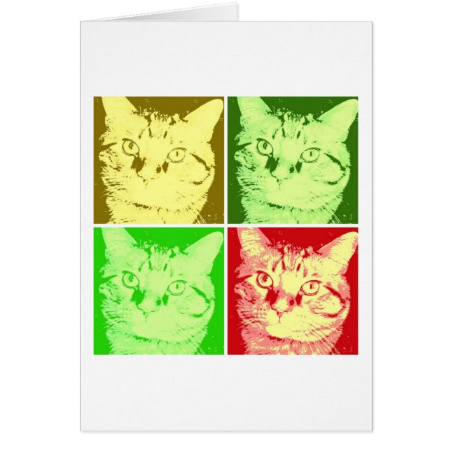 Naranja Tabby Cat (Frente)