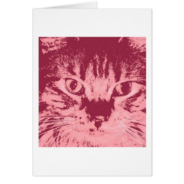 Naranja Tabby Cat (Frente)
